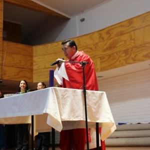 Celebración de Ramos